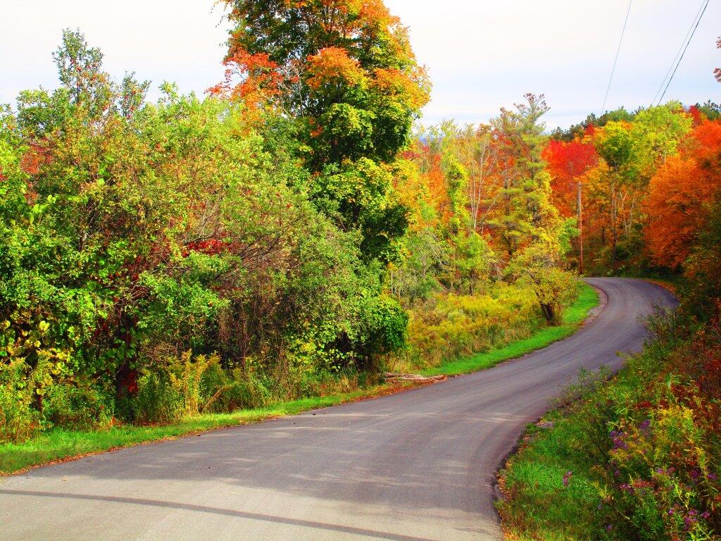 Photo: Pealey Road