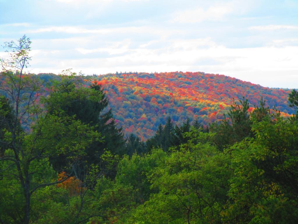 Photo: East Hill