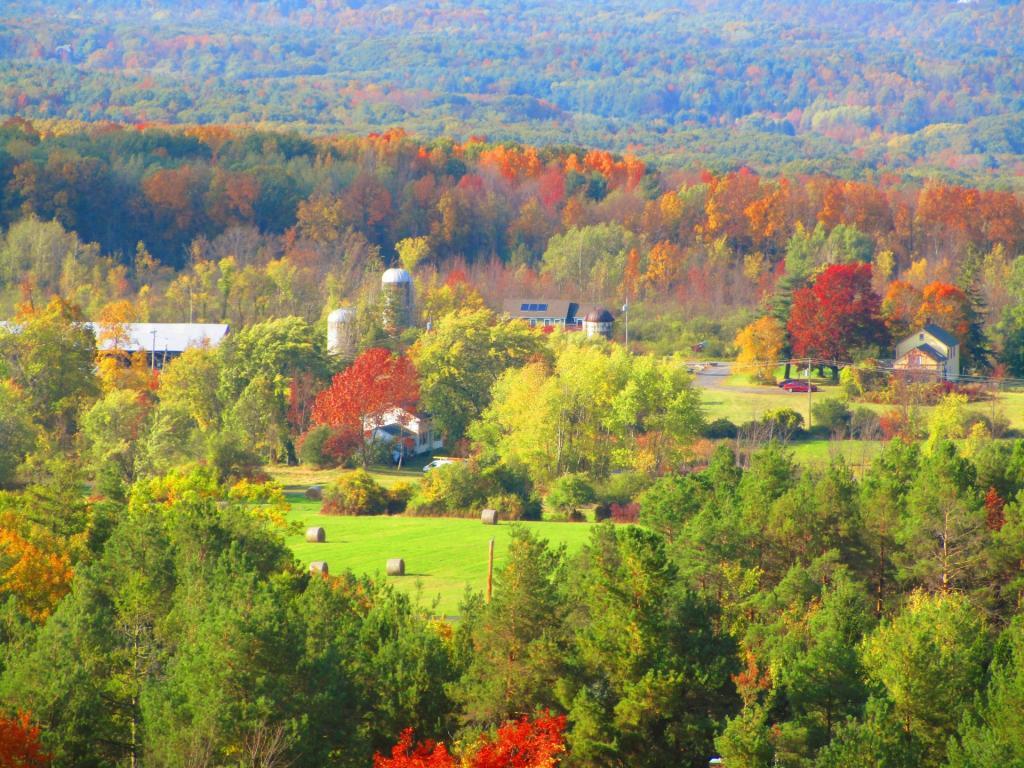 Photo: Knox Overlook