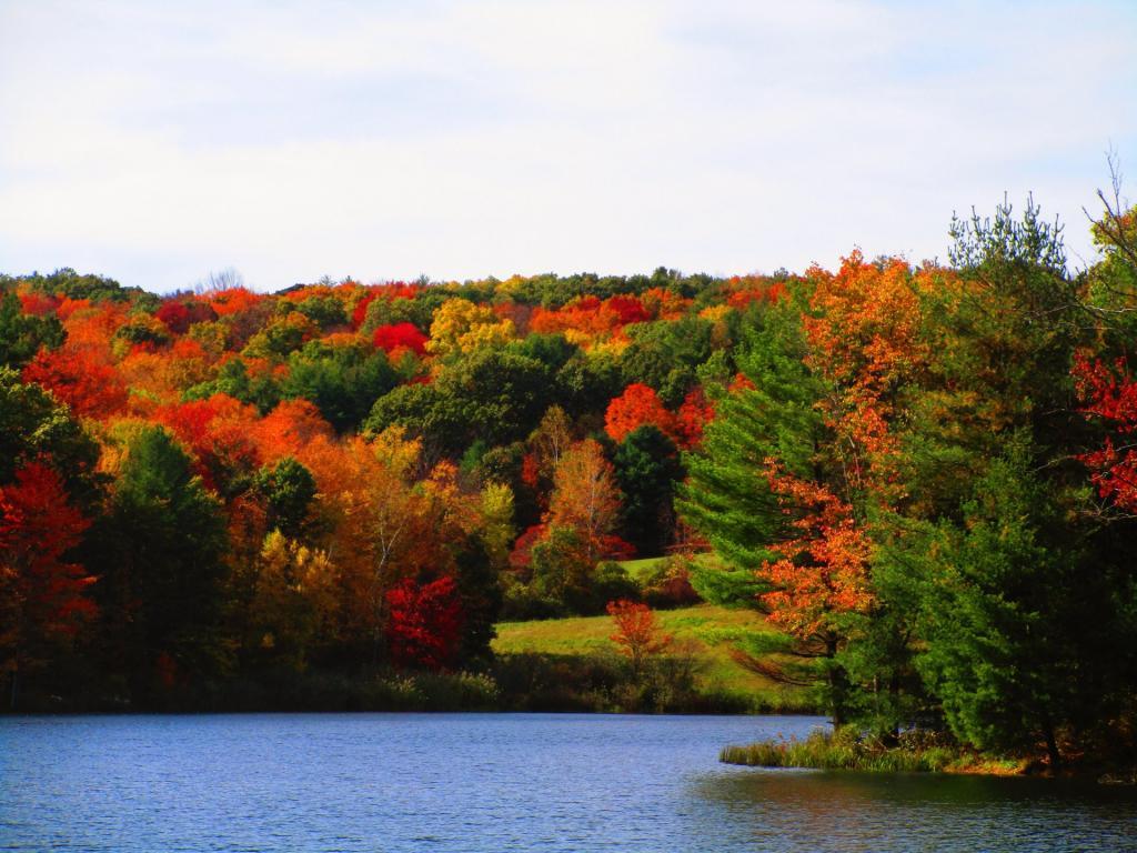 Photo: Autumn Color