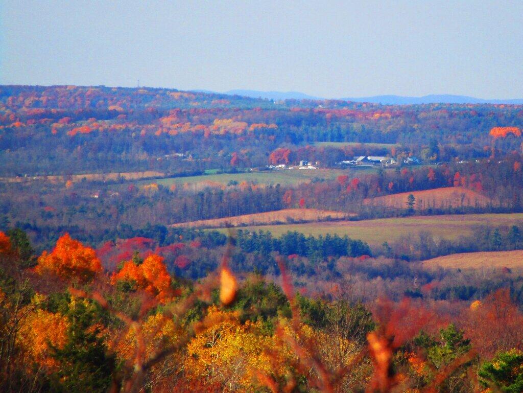 Photo: Not A Lot Of Color Left In Berne