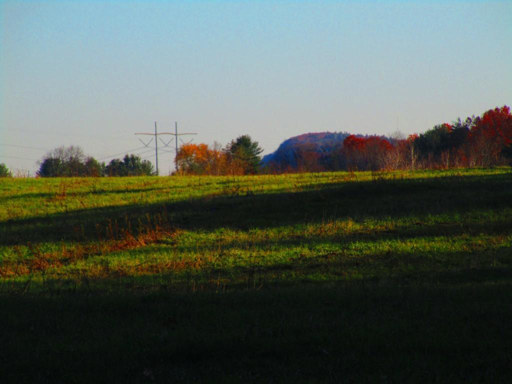 Photo: Powerlines