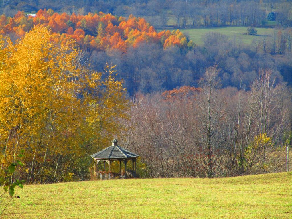Photo: Gazebo