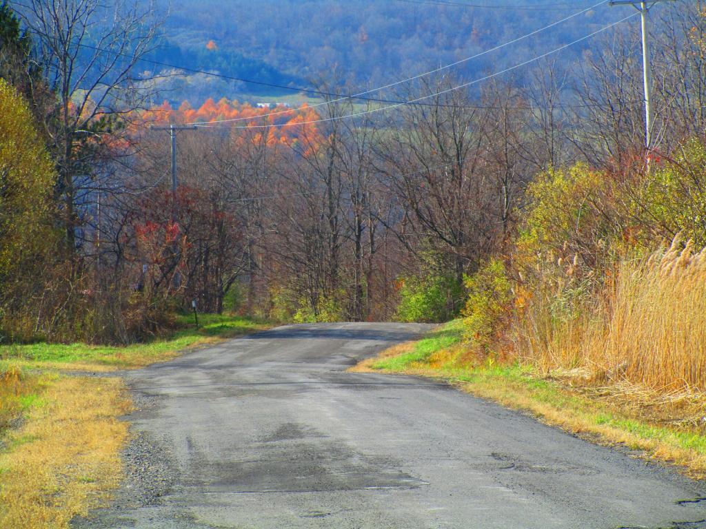 Photo: Hardy Road