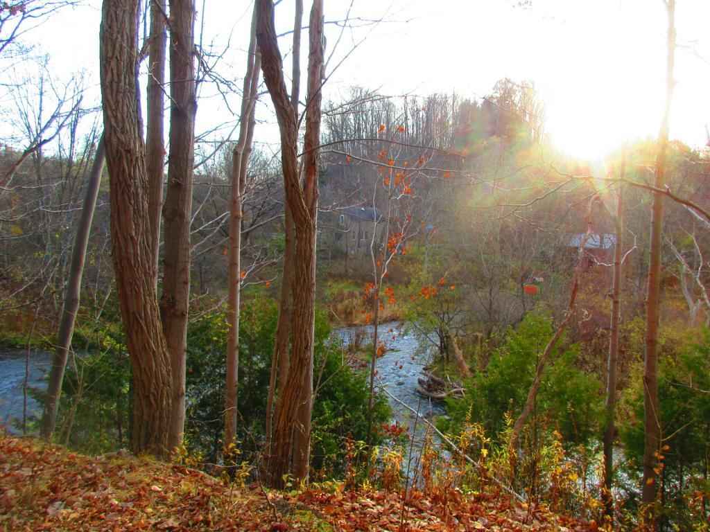 Photo: Near Cazenovia