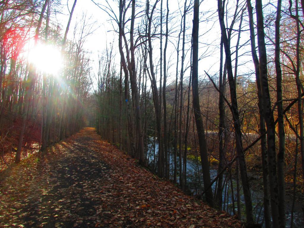 Photo: Upper Trail Winds Between the  Gorge, Creek and Road
