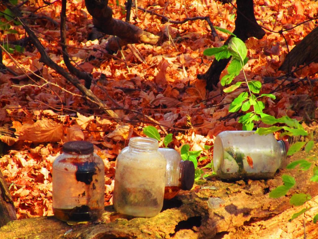 Photo: Old Jars from the Farm Dump