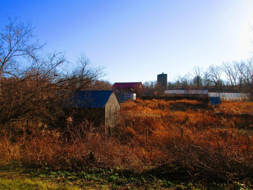 Photo: Abandoned Farm Photo: Abandoned Farm