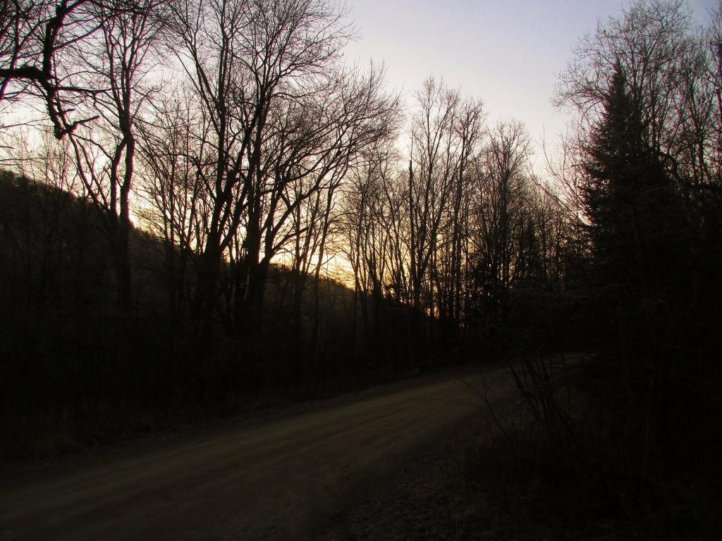 Photo: Sun is Low Photo: Sun is Low