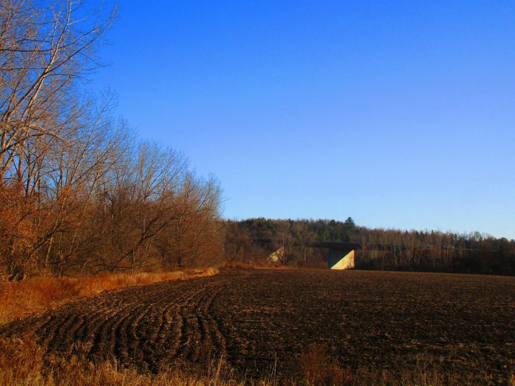 Photo: Thruway Bridge Photo: Thruway Bridge