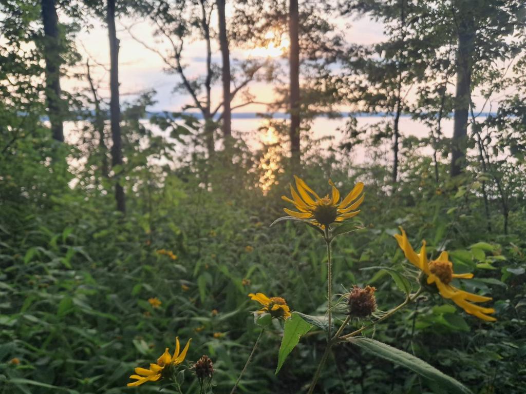 Photo: Untitled [Expires August 22 2026]
