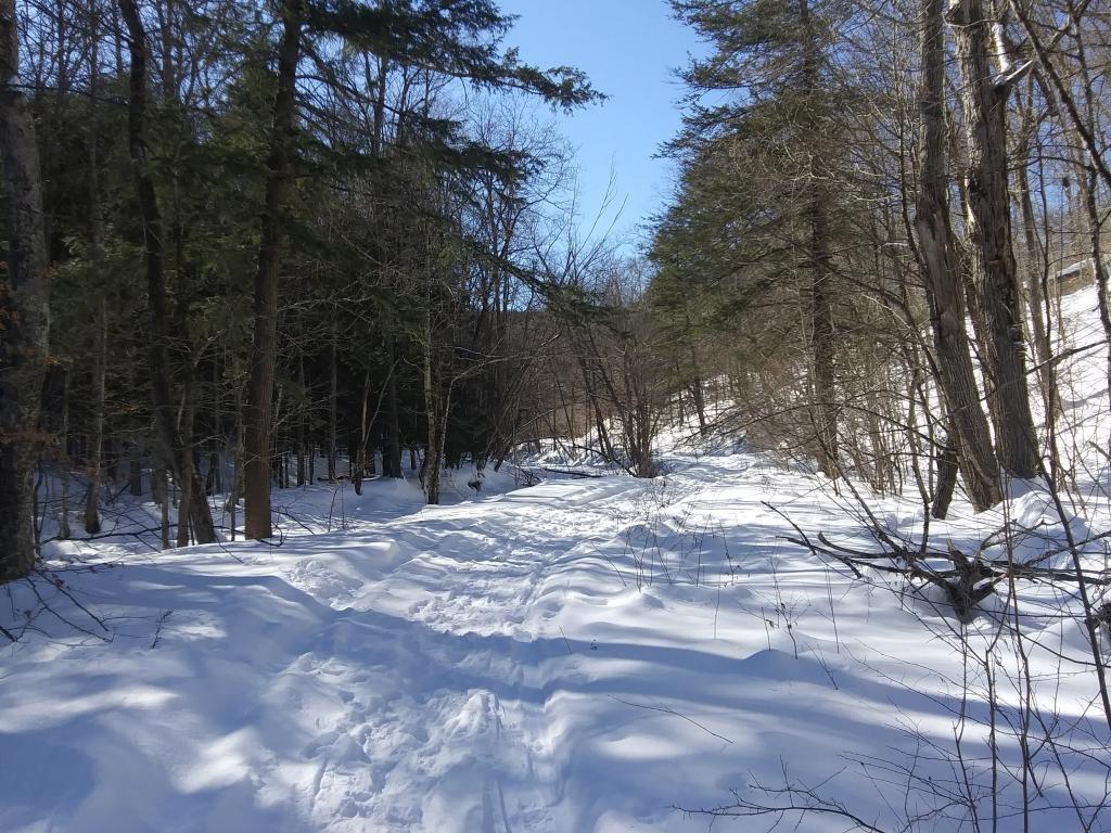 Photo: So bright and sunny today