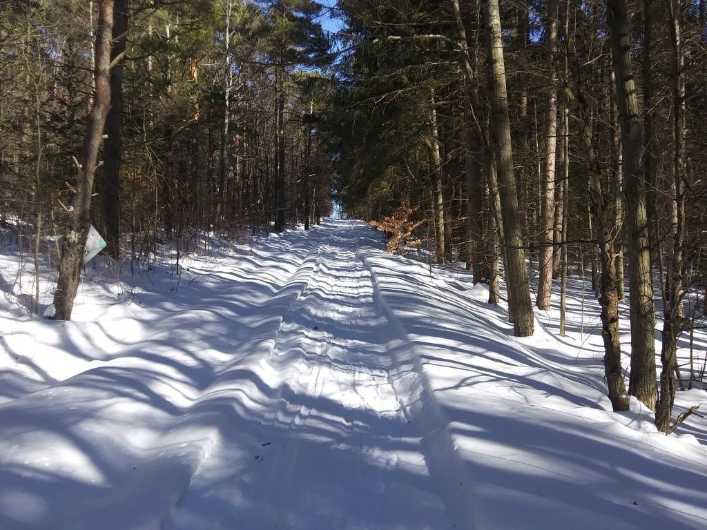 Photo: This section of trail was well packed snow 🌨