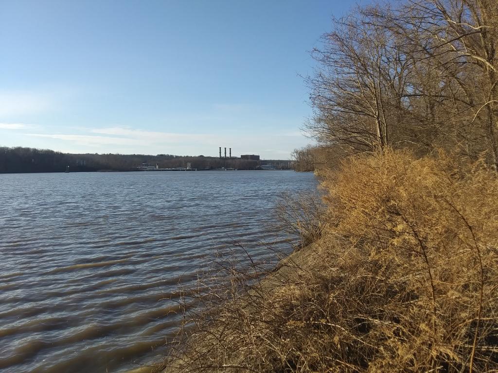 Photo: North Along the River Photo: North Along the River