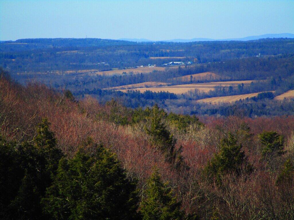 Photo: West Of Berne