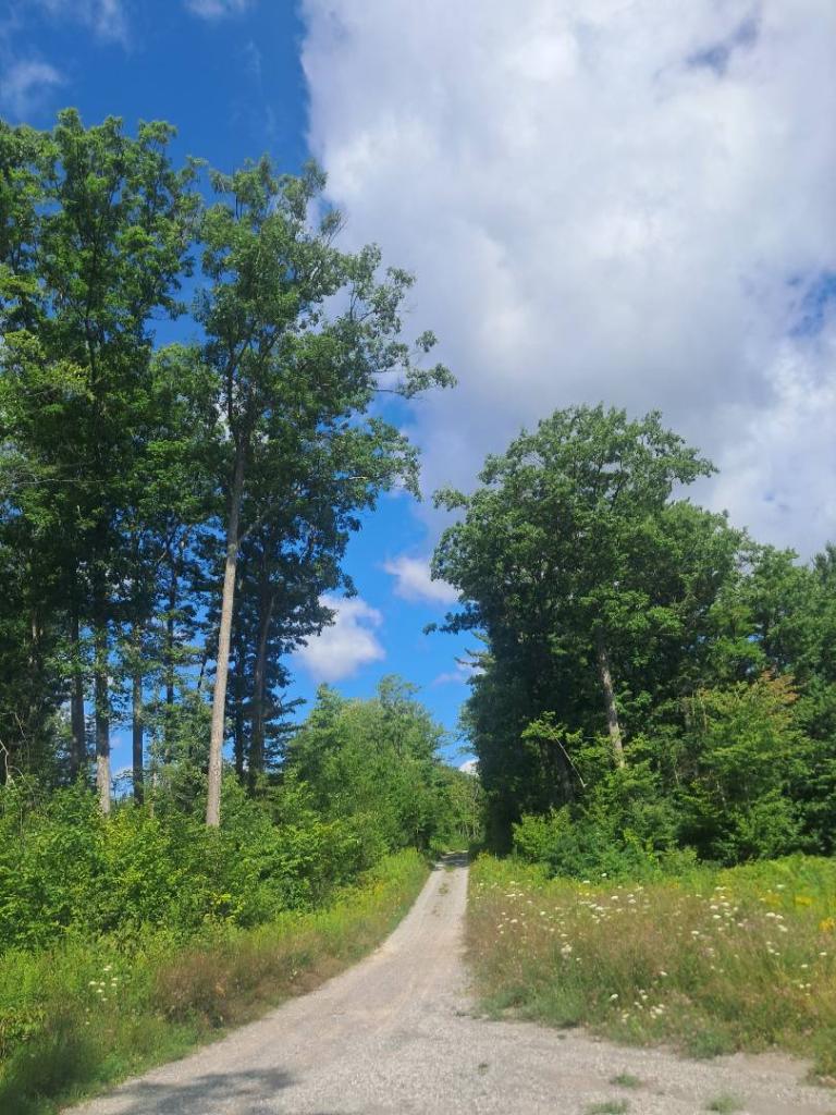 Photo: Burnt Hill Road, [Expires August 29 2026]