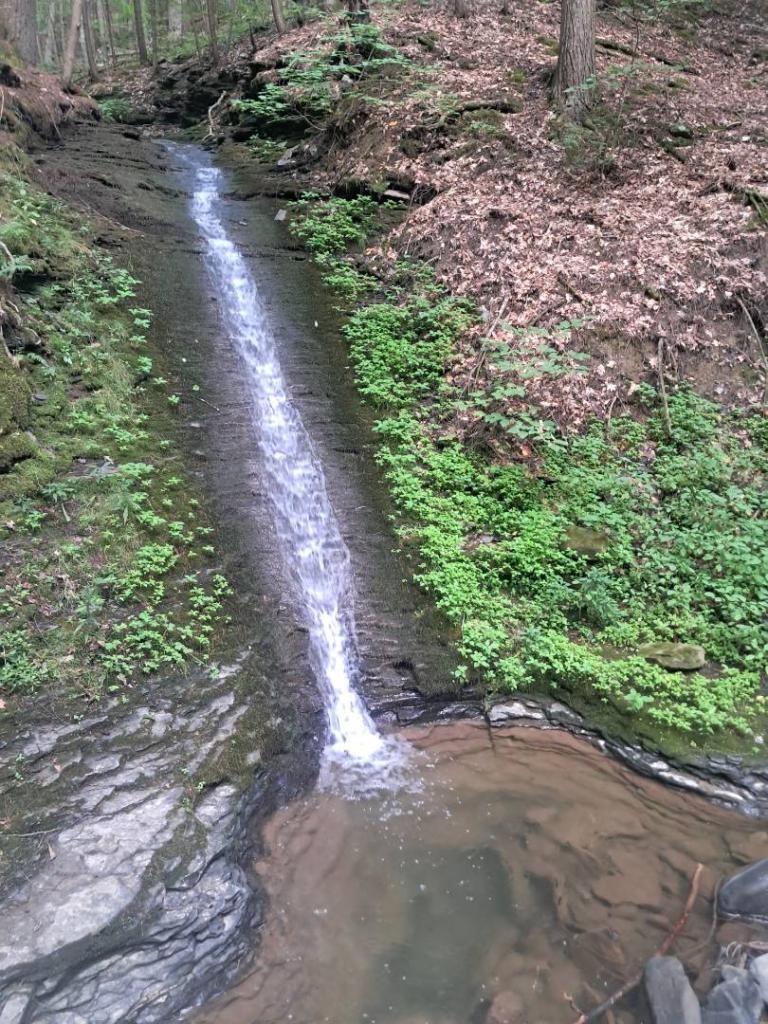 Photo: Waterfall [Expires August 29 2026]