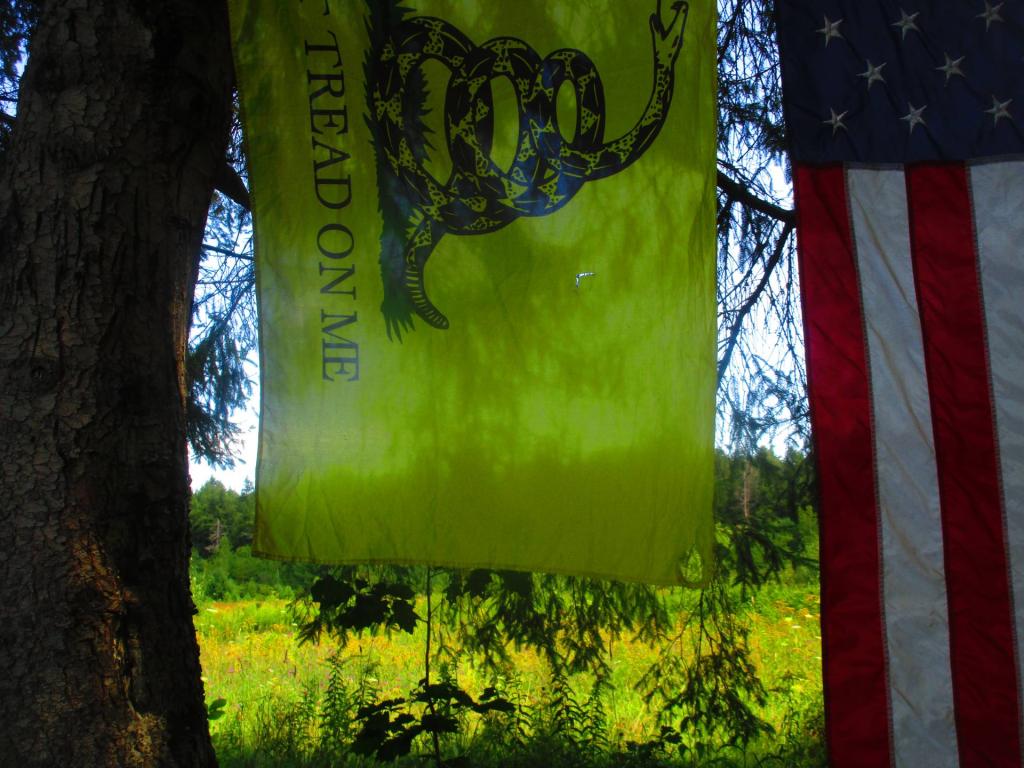 Photo: Don't Tread On Me  [Expires August 30 2026]