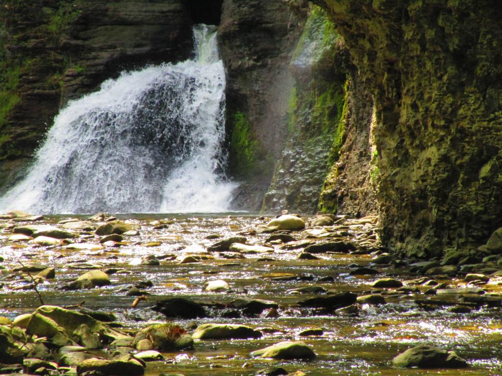 Photo: Falls [Expires August 30 2026]